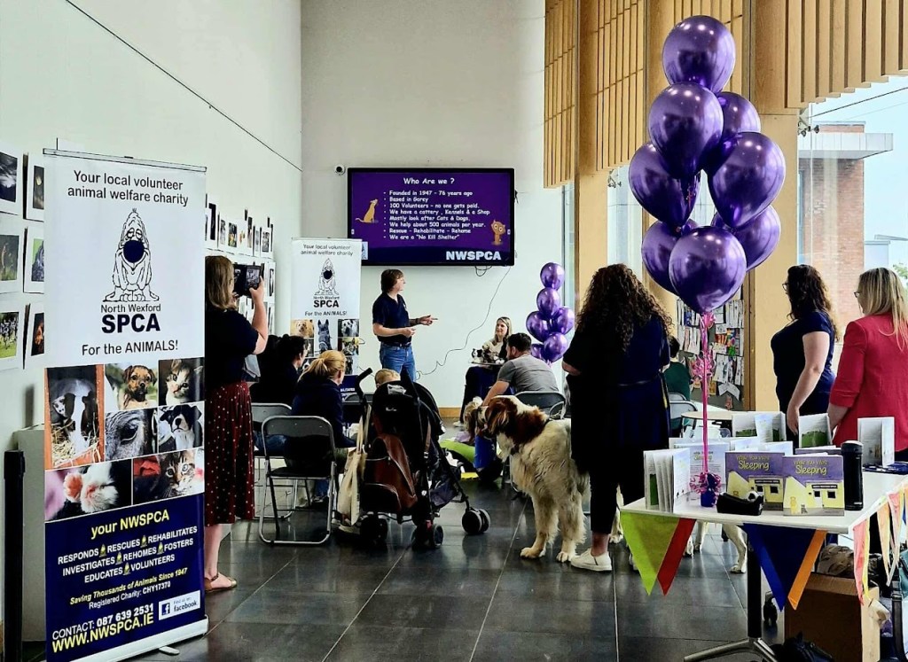 While You Were Sleeping children's book reading by Caroline Kidd in Gorey Library